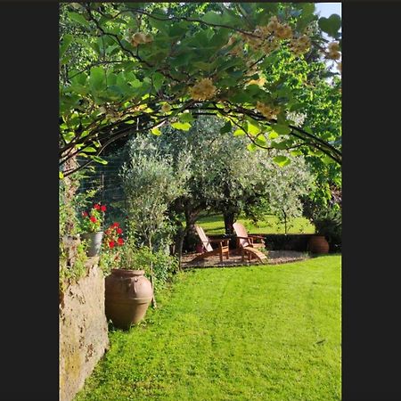Il Giardino Segreto Villa Rocca Di Papa Exterior photo